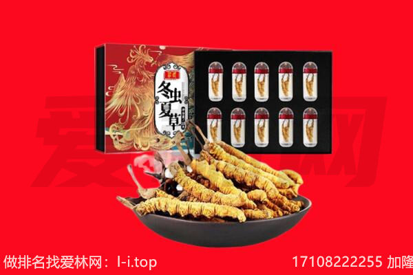 运城市回收虫草.jpg
